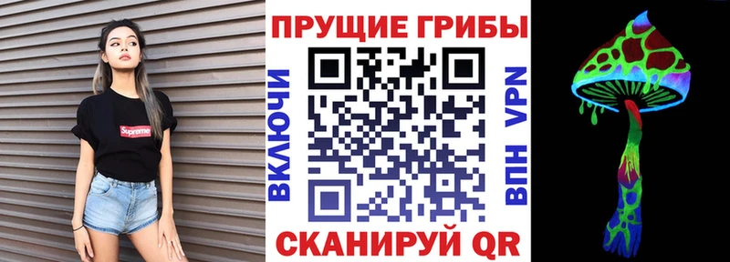 Псилоцибиновые грибы GOLDEN TEACHER Ейск